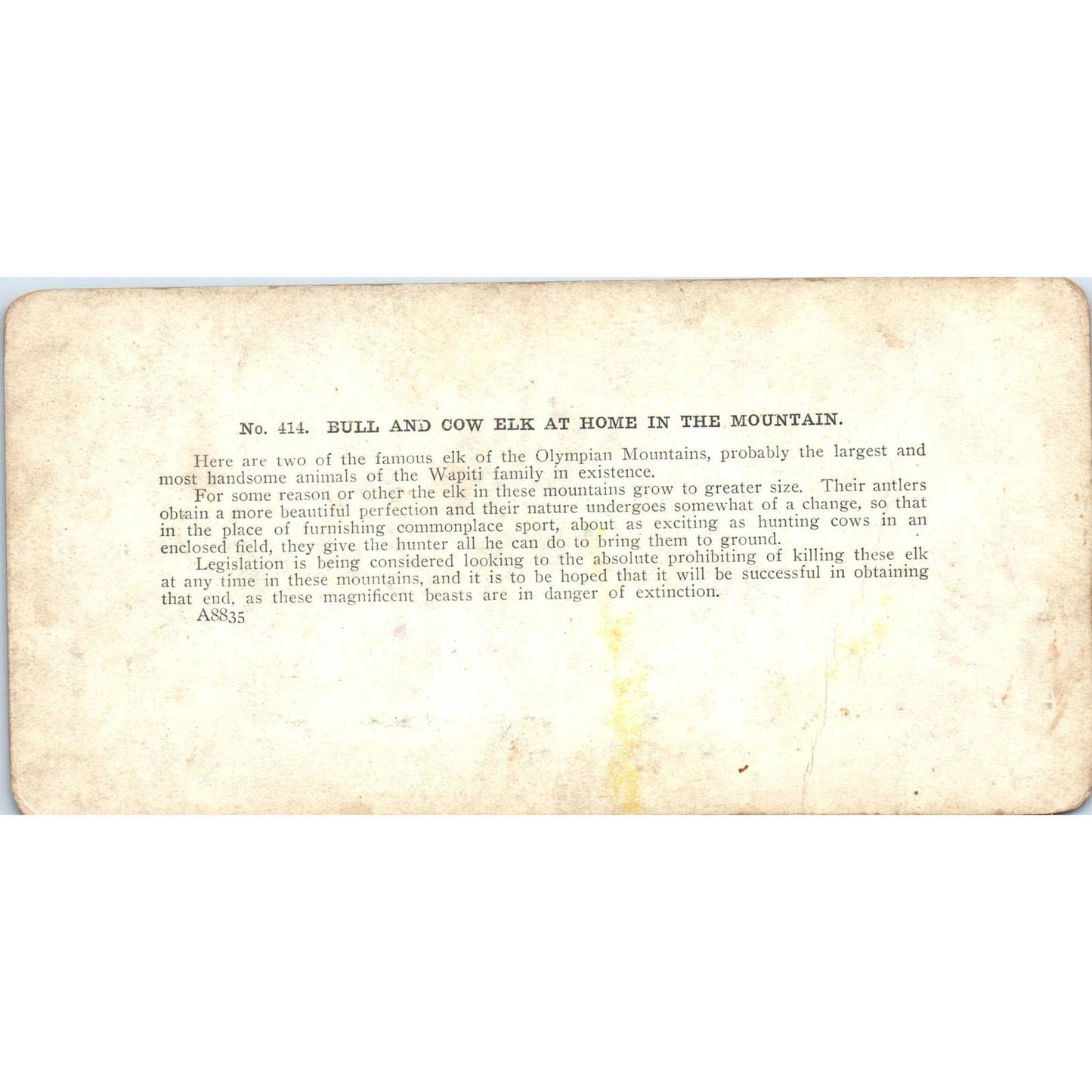 Victorian Fishing Still Water on the Kinnikinnick Antique Stereoview Card TJ1-C1