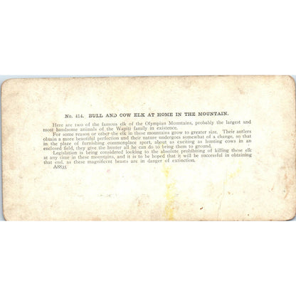 Victorian Fishing Still Water on the Kinnikinnick Antique Stereoview Card TJ1-C1