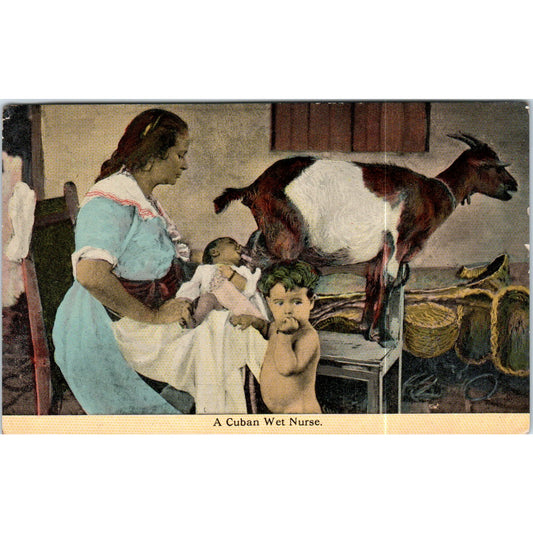 A Cuban Wet Nurse Goat c1910 Havana Cuba Original Postcard P3-1