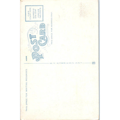 Chapel, Beloit College, Wisconsin Original Postcard TJ9-P3