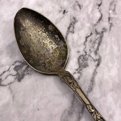 Antique Collectable Teaspoon 1877 NIAGARA FALLS Silver Plate Wild Rose SA2