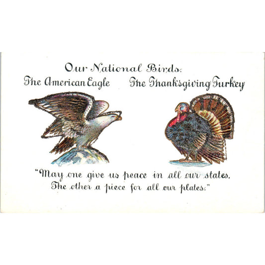 Thanksgiving Turkey Eagle National Birds Mica 1906 Original Postcard TK1-22