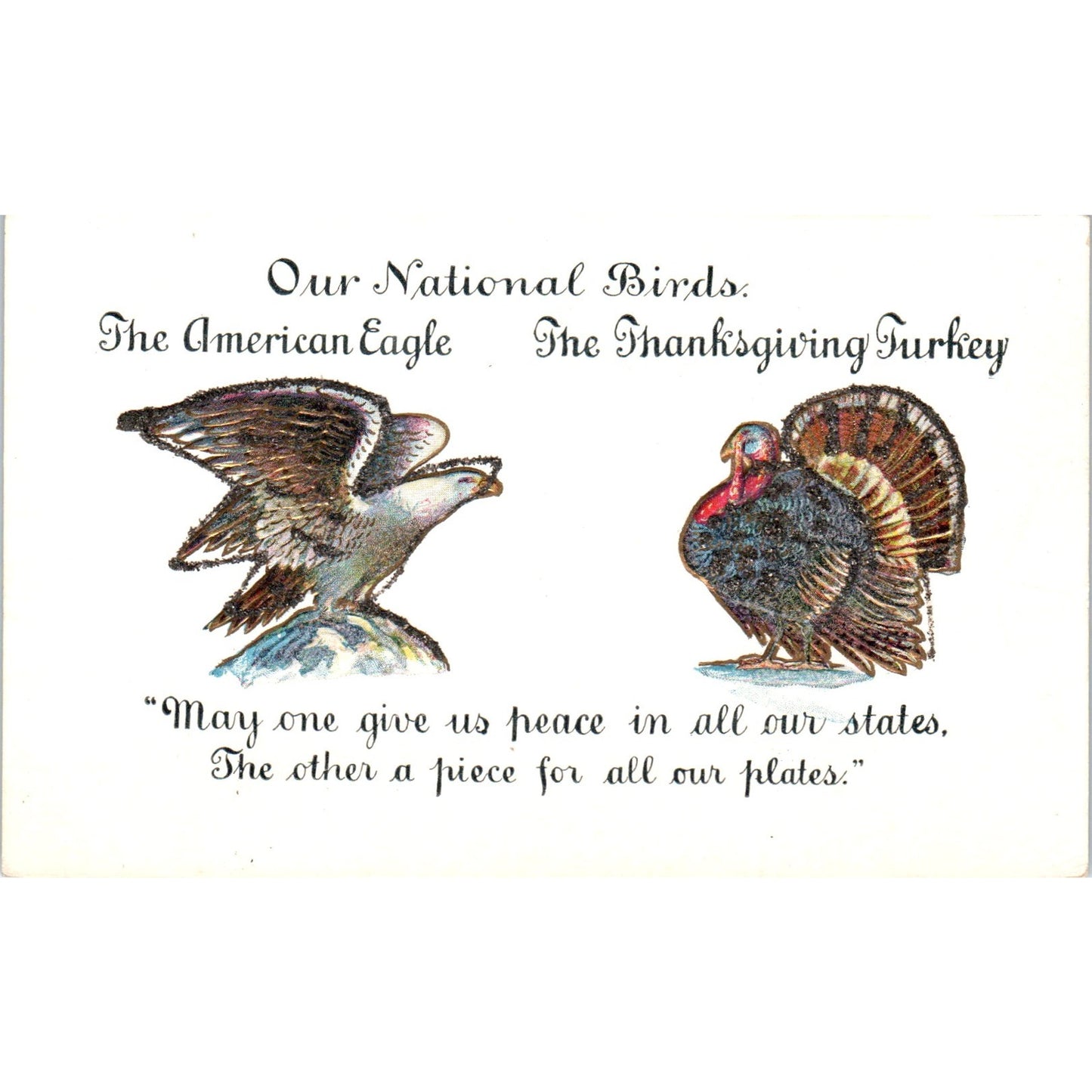 Thanksgiving Turkey Eagle National Birds Mica 1906 Original Postcard P1-14