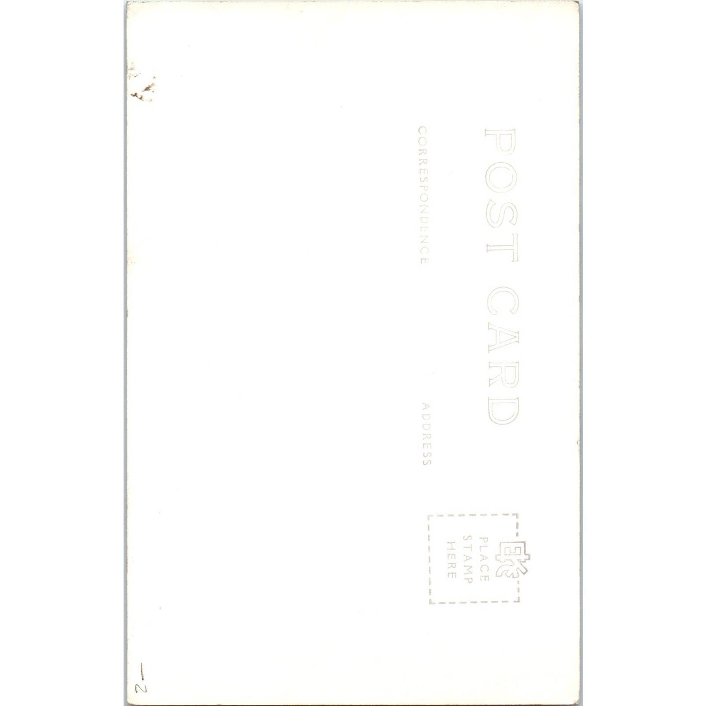 Curly Redwood Tree Muir Woods National Monument - Original RPPC Postcard TJ7-RP3