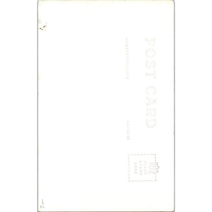 Curly Redwood Tree Muir Woods National Monument - Original RPPC Postcard TJ7-RP3