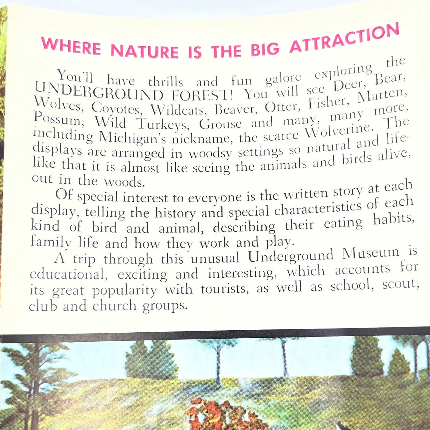 1963 Underground Forest Michigan Scenic Wildlife Museum Frederic Brochure AC1