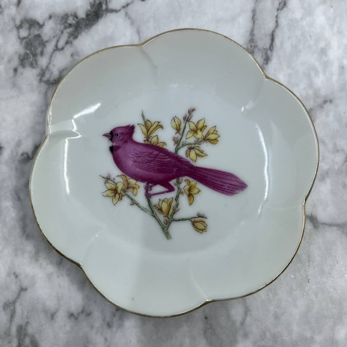 Vintage Porcelain Cardinal Scalloped Plate Tray Japan Doll Tea Party 4” TJ5