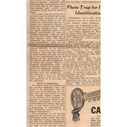1935 Mpls Journal Newspaper Ad Maurice L Rothschild Brucewood Sport Shop FL5-3