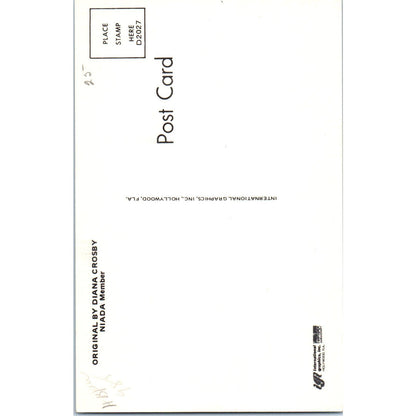 Original Diana Crosby Doll NIADA Member Original Postcard PB8