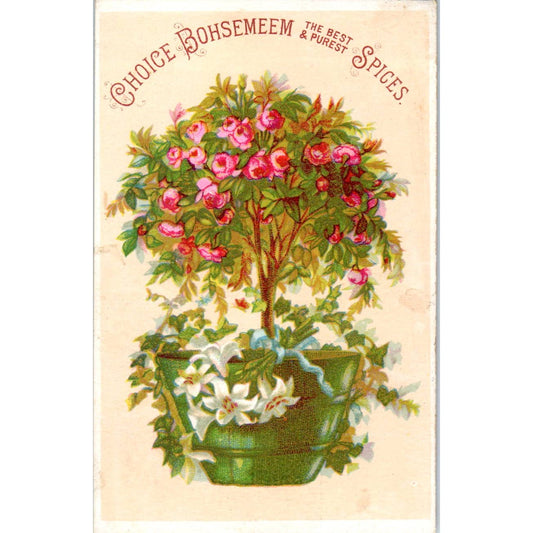 1880s Victorian Trade Card Choice Bohsemeem Spices Weikel & Smith Spice Co SF2-4