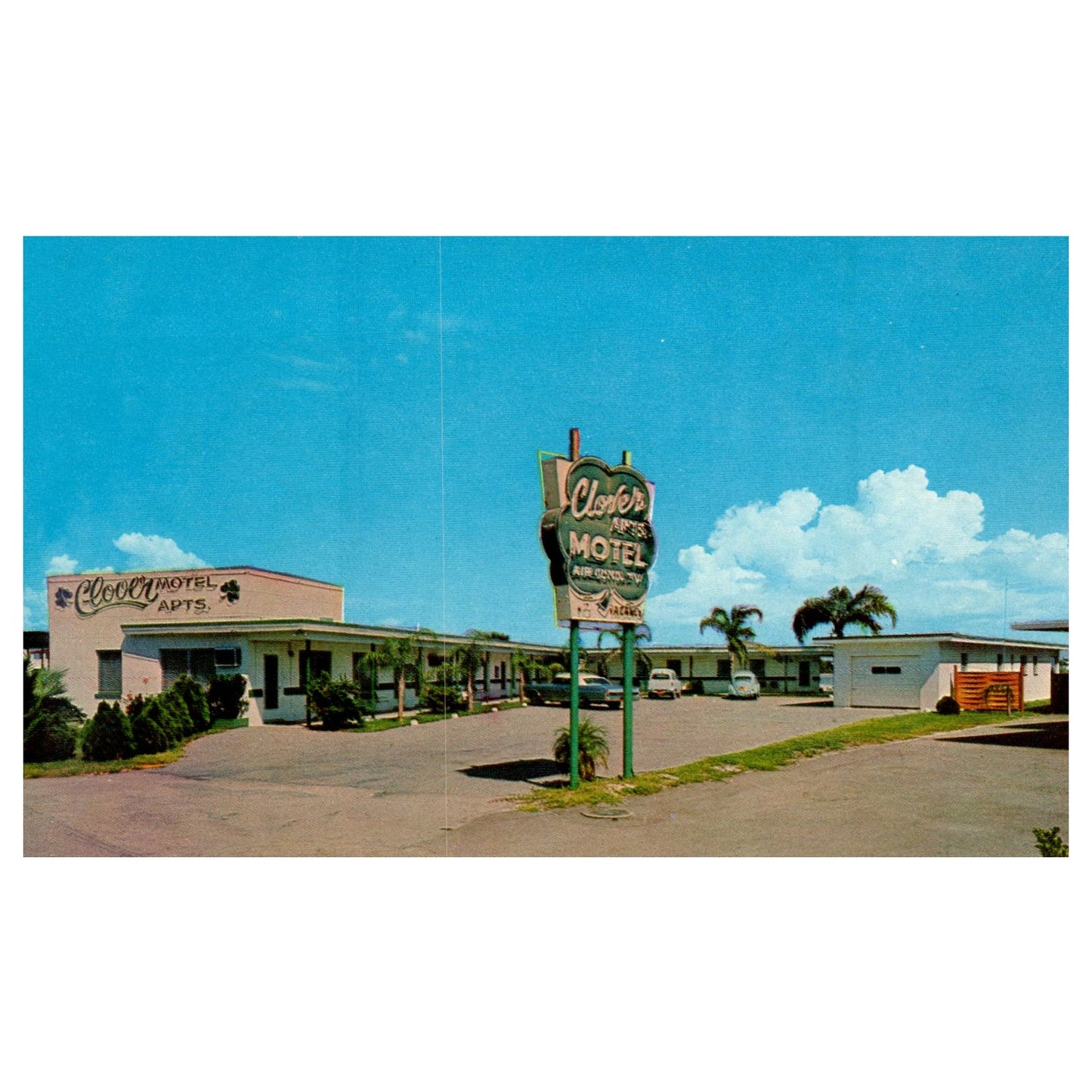 Vintage Postcard - Clover Motel Apartments St. Petersburg Florida P4-6