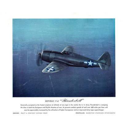 Vintage US Military Airplane Photo Print Republic P-47 Thunderbolt 8x10" AD4
