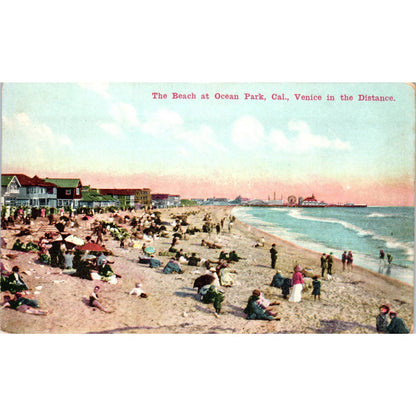 Ocean Park California Beach c1910 Original Postcard TK1-25