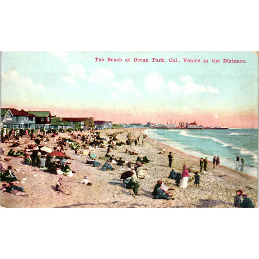 Ocean Park California Beach c1910 Original Postcard TK1-25