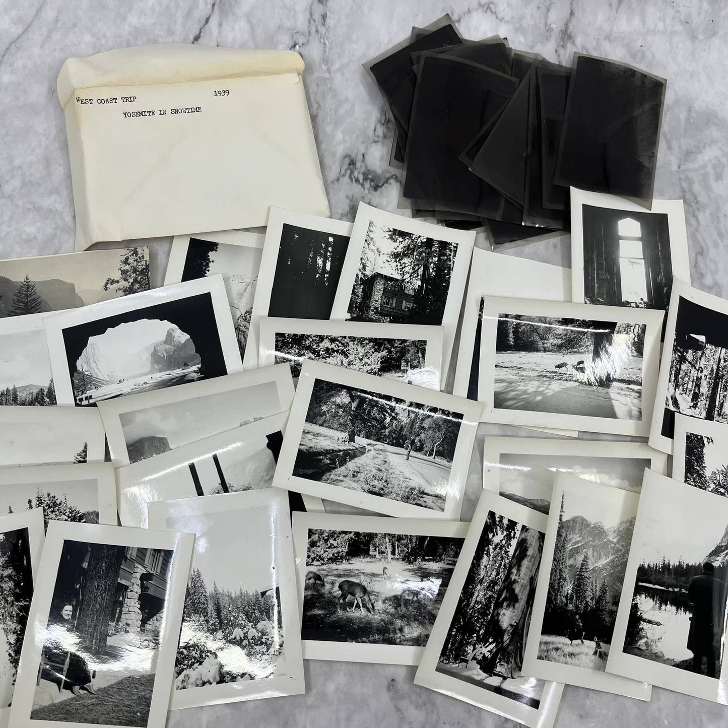 1939 Collection of Photos & Negatives of Yellowstone Park in the Winter TJ9-PG6