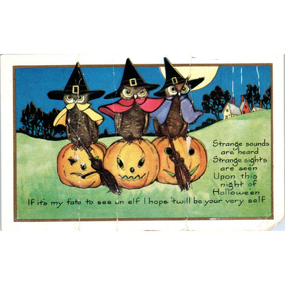 Halloween Owls in Witch Costume Jack-O-Lanterns Whitney Original Postcard TK1-25