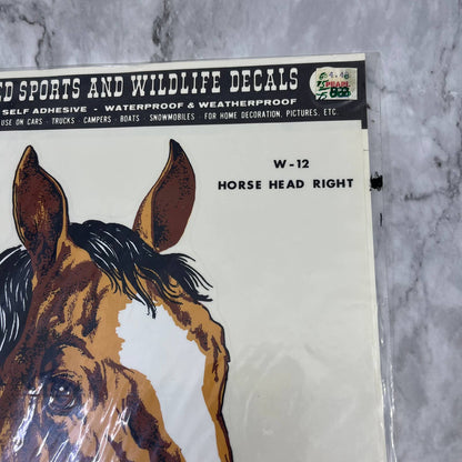 1977 NEW NOS Decorcal Sports & Wildlife Decal W-12 Horse Head Right FL5