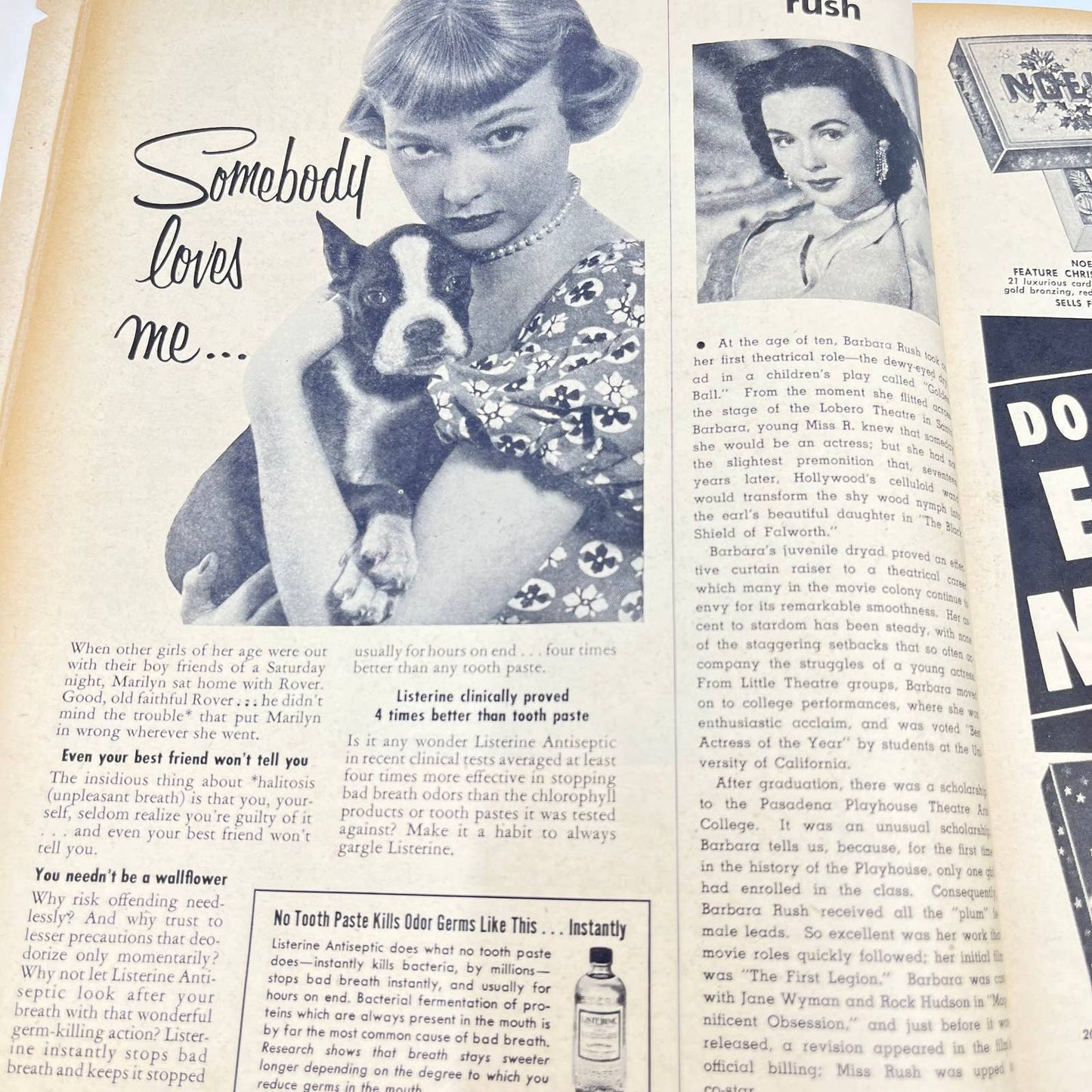 Screen Stories Magazine August 1954 BETRAYED Lana Turner Cover Clark Gable TC6