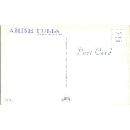 Amish Dolls - Jim E. Hess Photo Original Postcard PB8