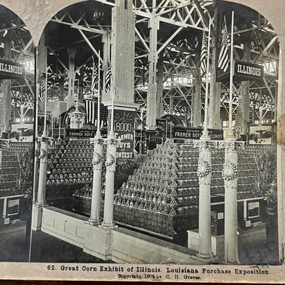 Great Corn Exhibit of IL - Louisiana Purchase Exposition 1904 Stereoview TJ9-V1