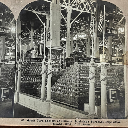 Great Corn Exhibit of IL - Louisiana Purchase Exposition 1904 Stereoview H2-6