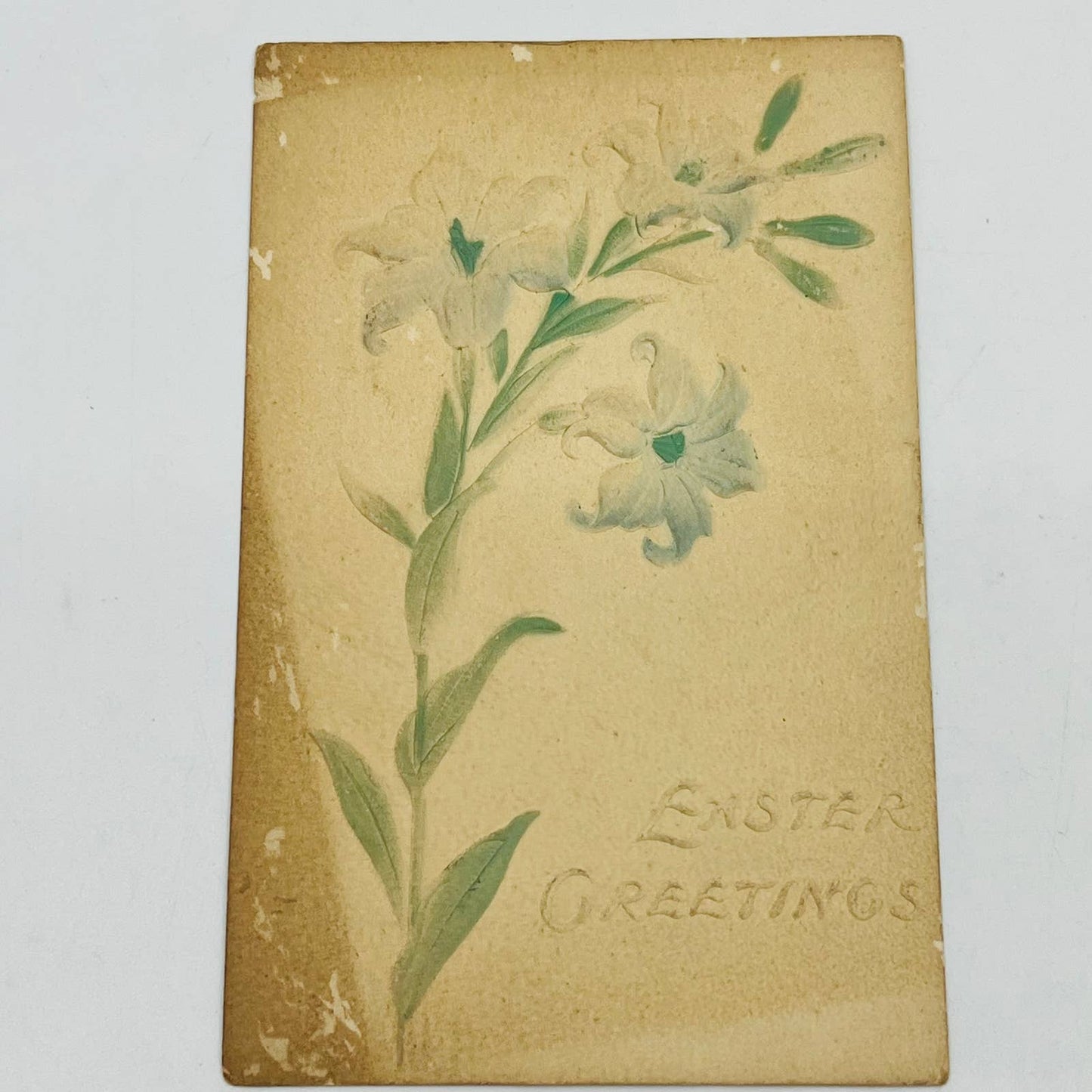 1910s Easter Post Card Embossed Air Brushed Daffodils PA5