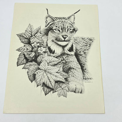 Vintage Art Print Lynx Canadenses Dean Rocky Barrick 8.5 x 11 AA8