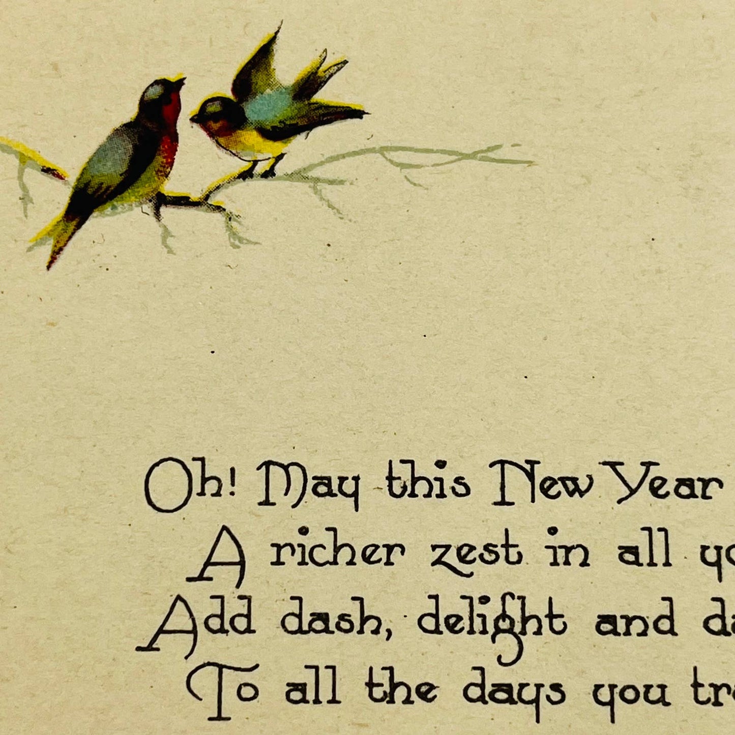 1910s Christmas New Year’s Post Card Birds Poem Winsch Back PA3