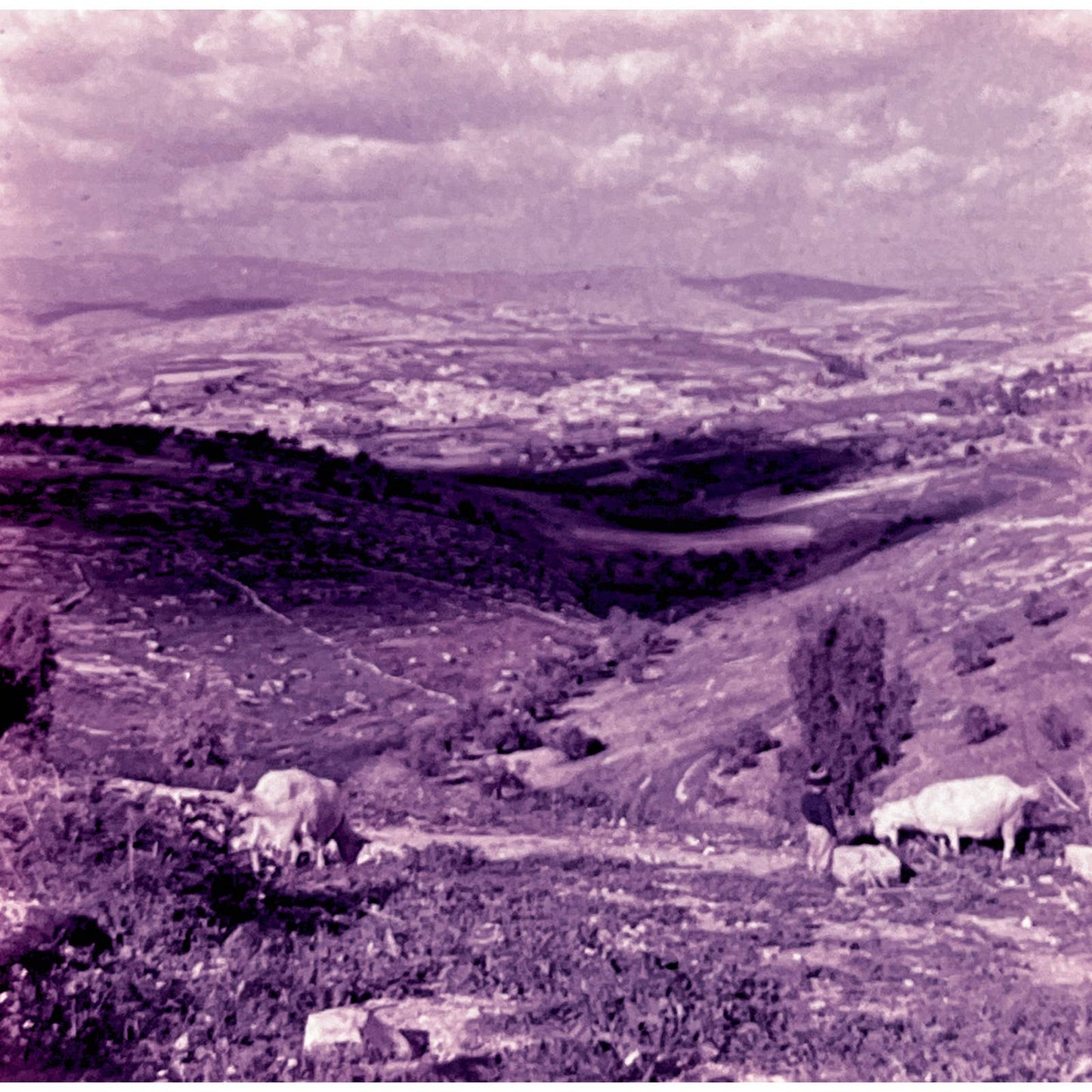 1960s Israel Views Lot of 6 Pana-Vue 2x2 Travel Slides TK2-S-8
