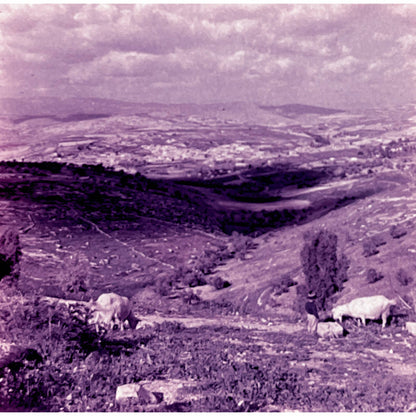 1960s Israel Views Lot of 6 Pana-Vue 2x2 Travel Slides TK2-S-8