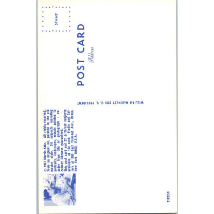 William McKinley Portrait Morris Katz 1960s Original Postcard TK1-21