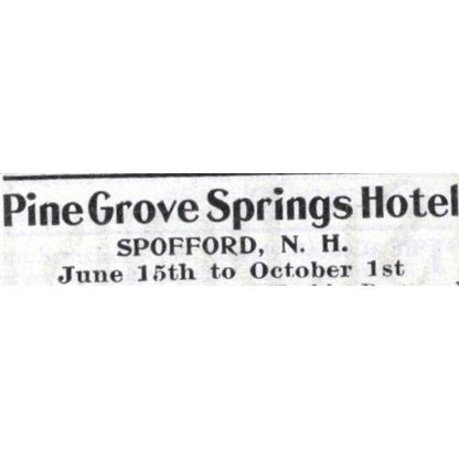 Pine Grove Springs Hotel Spofford NH Atkins & Messer - 1903 Original Ad TJ7-S9