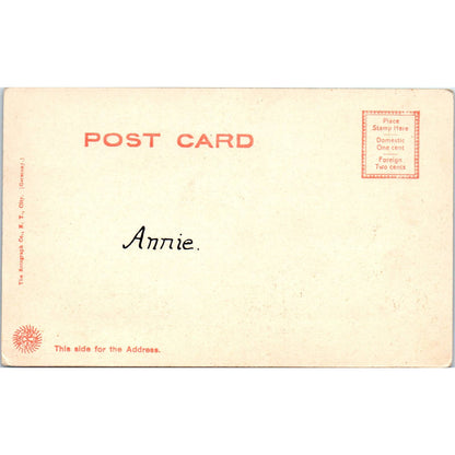 Antique Postcard Market Street Viaduct Youngstown Ohio TD9