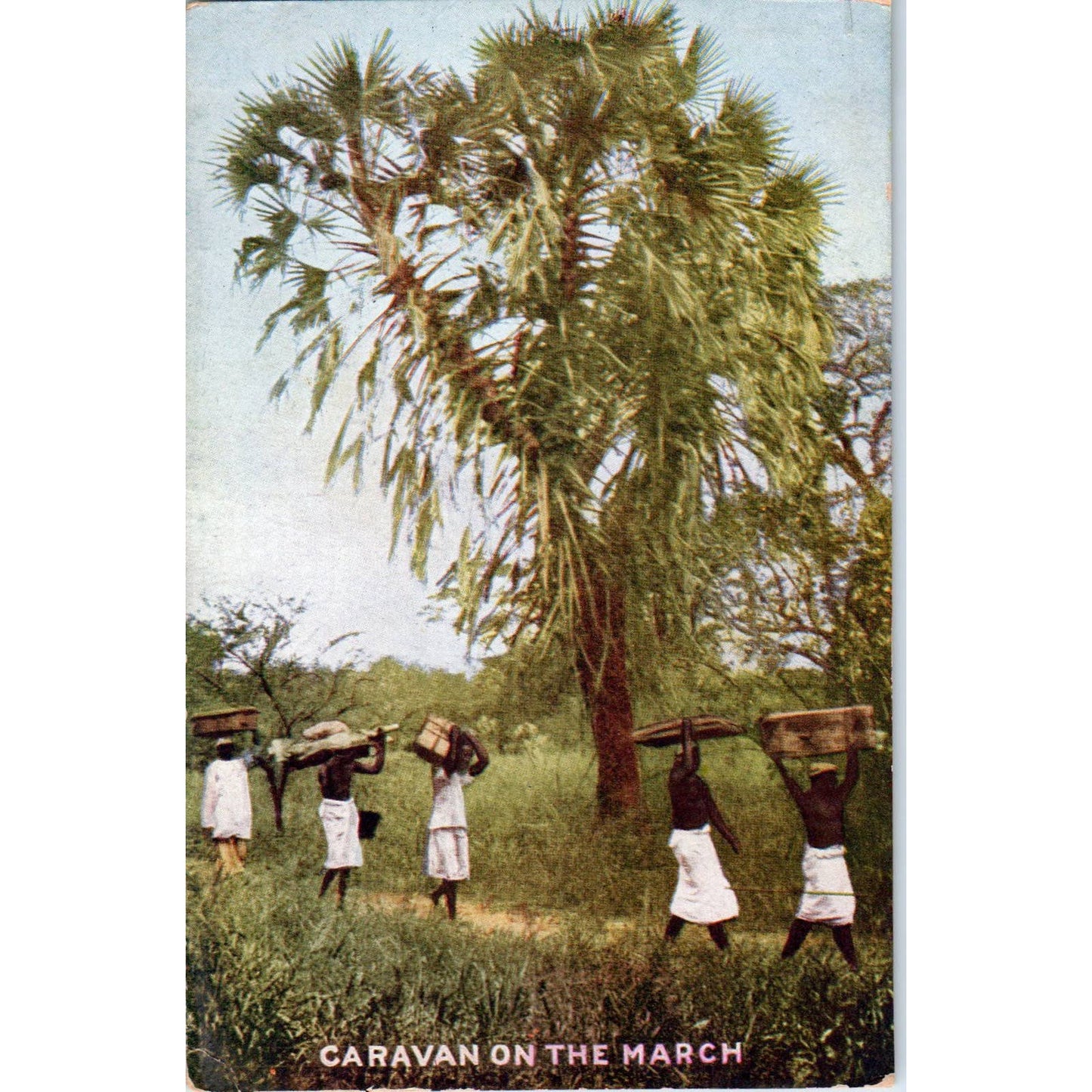 Roosevelt Tour Caravan on the March c1910 Original Postcard TK1-25