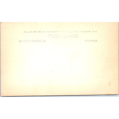 Glacier Bay Color RPPC Alaska Original Postcard P2-6