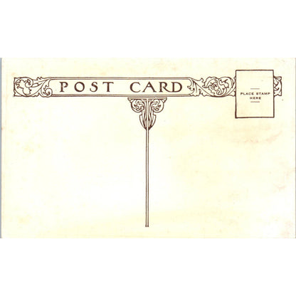 The Albany Hotel Roman Promenade Denver Colorado Original Postcard TK1-28