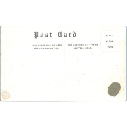 Fishing is Good At Lake Minnetonka MN Giant Fish c1910 Original Postcard PB1