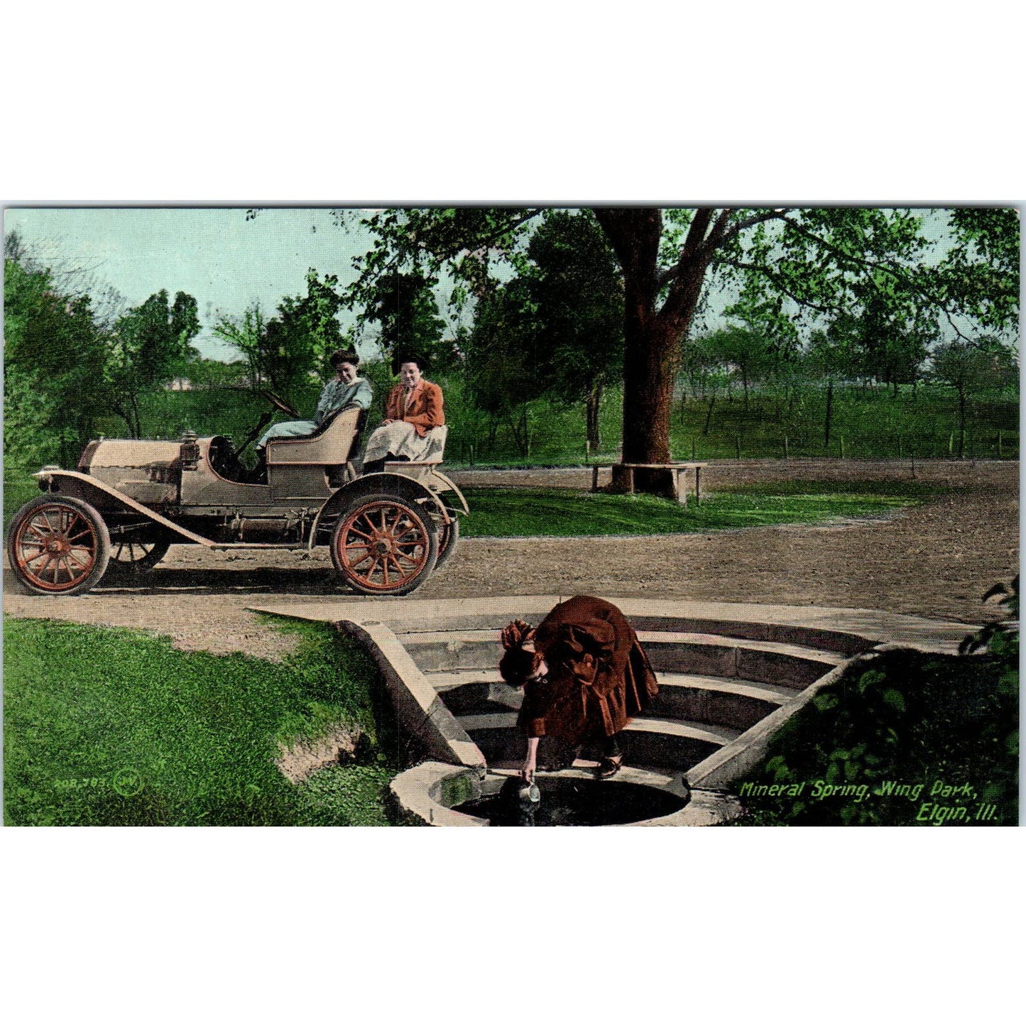 Mineral Spring Wing Park Elgin Illinois Original Postcard TK1-P20