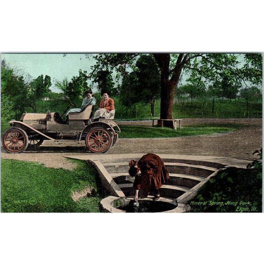 Mineral Spring Wing Park Elgin Illinois Original Postcard TK1-P20