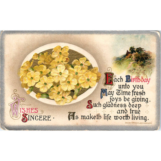 1912 John Winsch Birthday Wishes Embossed Flowers Original Postcard TJ9-P2