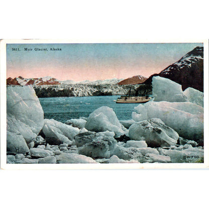 Muir Glacier Alaska Original Postcard TK1-30