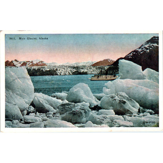 Muir Glacier Alaska Original Postcard TK1-30