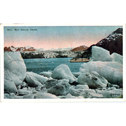 Muir Glacier Alaska Original Postcard P2-6