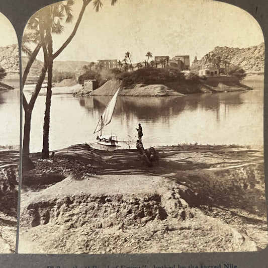 Philae Pearl of Egypt Bathed By The Nile 1902 Antique Stereoview Card TJ9-V2