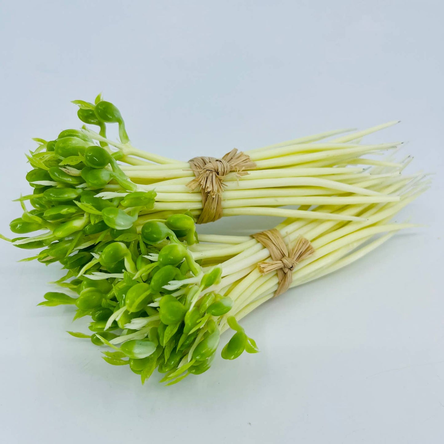 2 Bunches Vintage Artificial Fake Bean Sprouts TD3-5