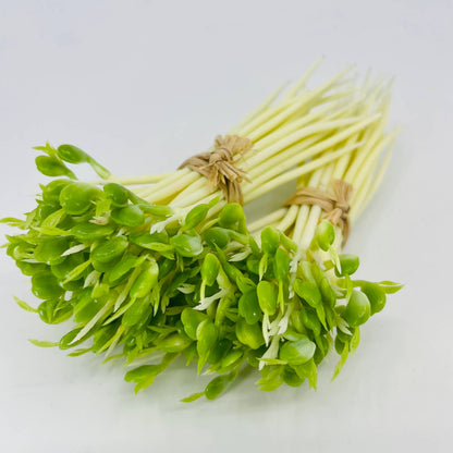 2 Bunches Vintage Artificial Fake Bean Sprouts TD3-5