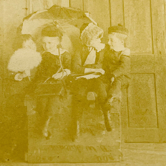 1880s Stereoview Card Victorian 4 Children Posing For Photograph Ain’t We Solid?