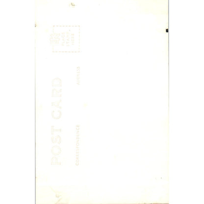 Pacific Coast Block Tail Buck Deer Redwood Highway CA RPPC Postcard TK1-27