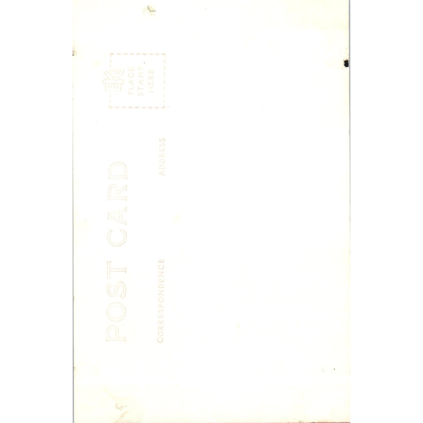 Pacific Coast Block Tail Buck Deer Redwood Highway CA RPPC Postcard P1-12