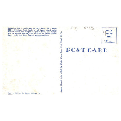 Vintage Postcard - Buffalo Inn Dining Room Lock Haven PA AD9